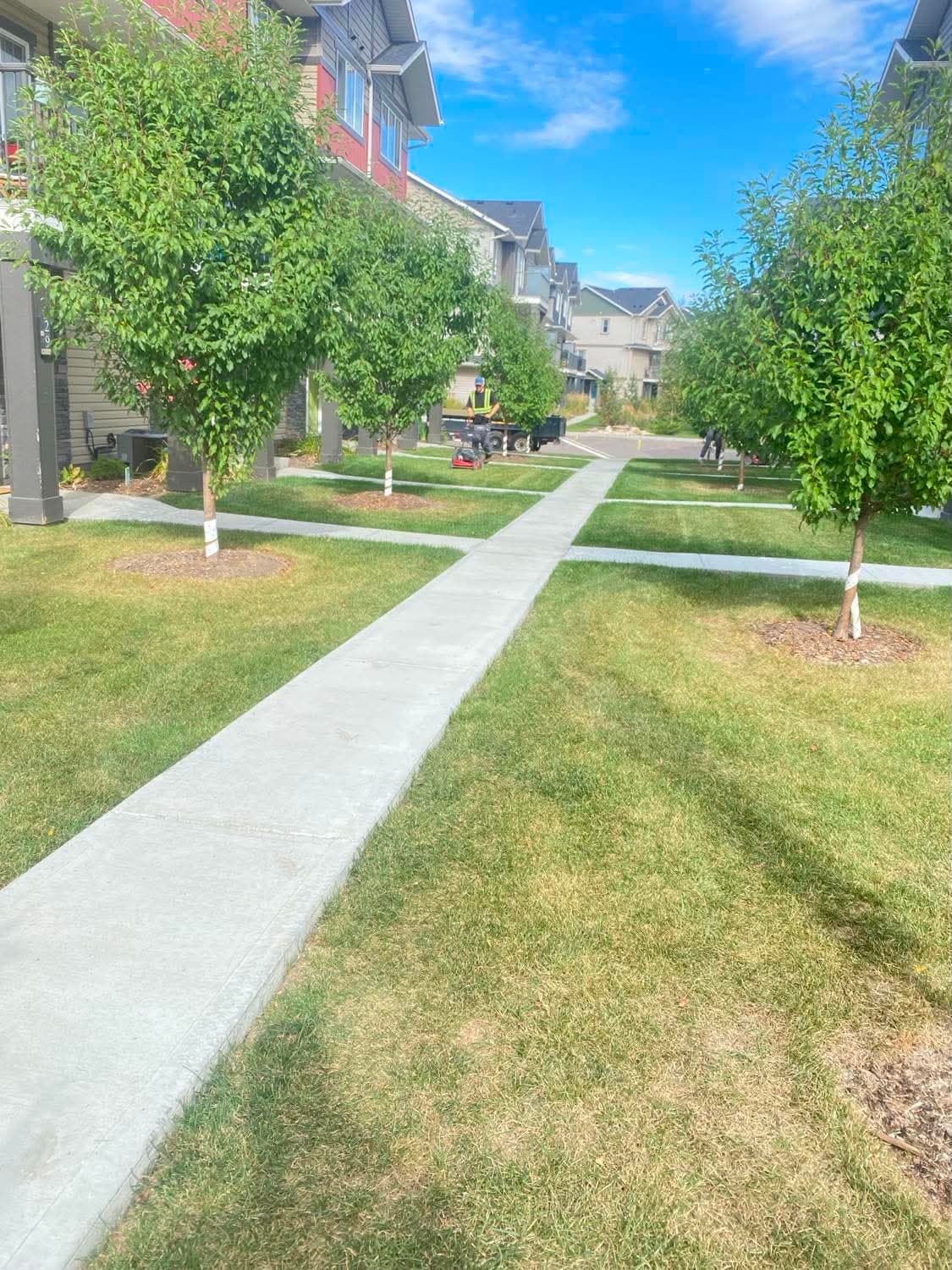 A townhouse condominium walkway framed by cut lawns and young maintained trees